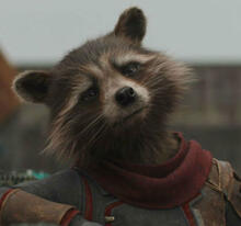 Rocket Raccoon