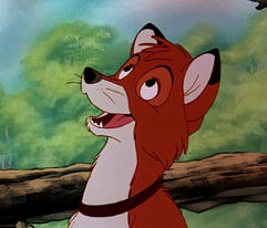 Todd Fox
